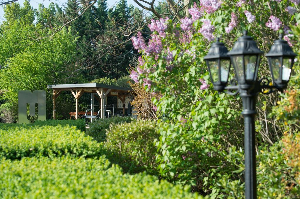 Les Carmes And Spa ル・トール エクステリア 写真